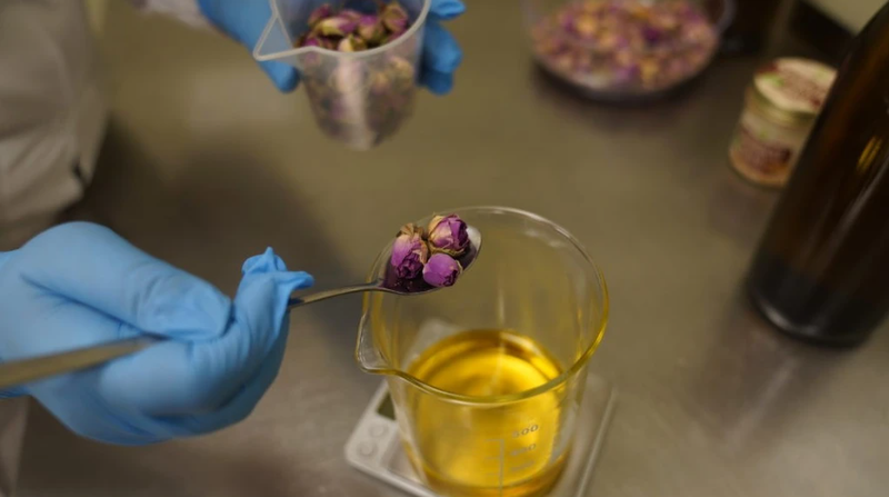 Jak funguje macerace bylinek a proč ji milujeme v PURITY VISION®