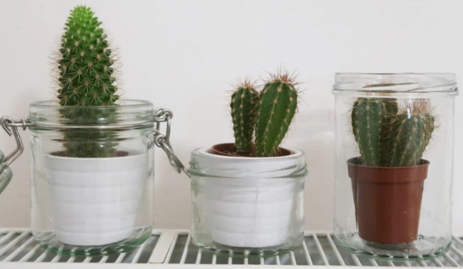 Jak využít prázdné obaly od kosmetiky? Inspirace ze skleniček PURITY VISION