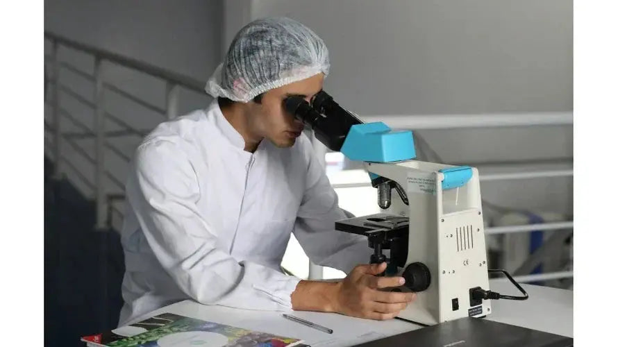 Přínosy kokosového oleje podle vědeckých studií: jak ovlivňuje zdraví Purity Vision CZ