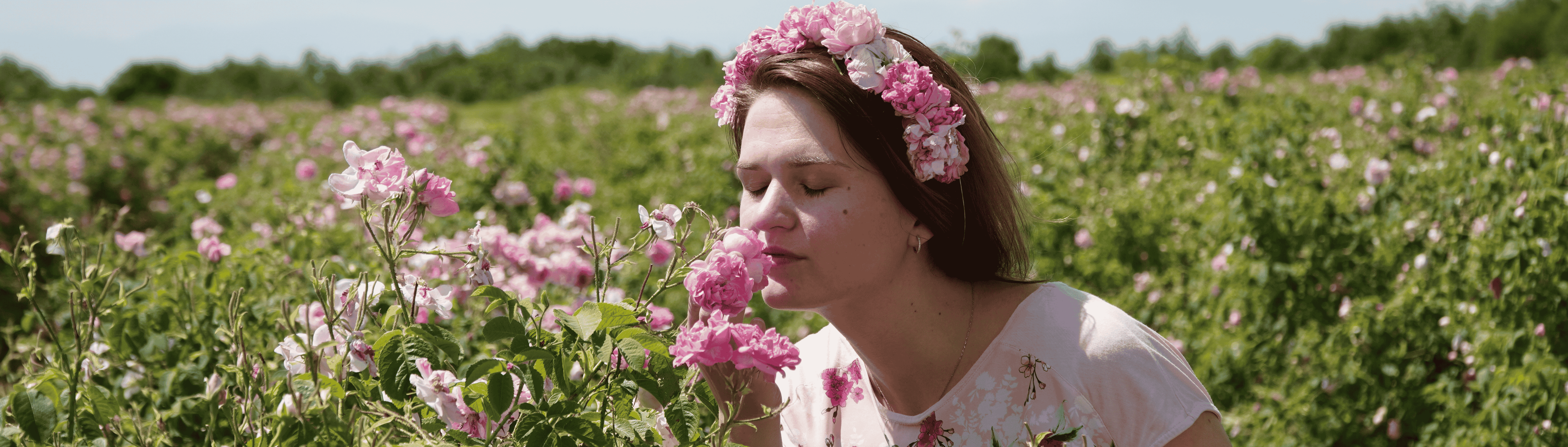 Tajemství Bio Růže damašské: Proč je klíčová pro vaši pleť
