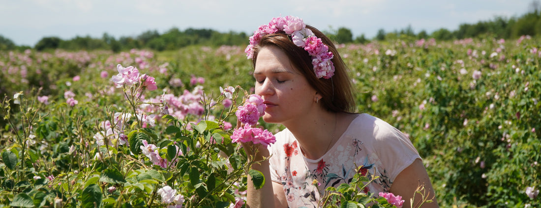 Tajemství Bio Růže damašské: Proč je klíčová pro vaši pleť