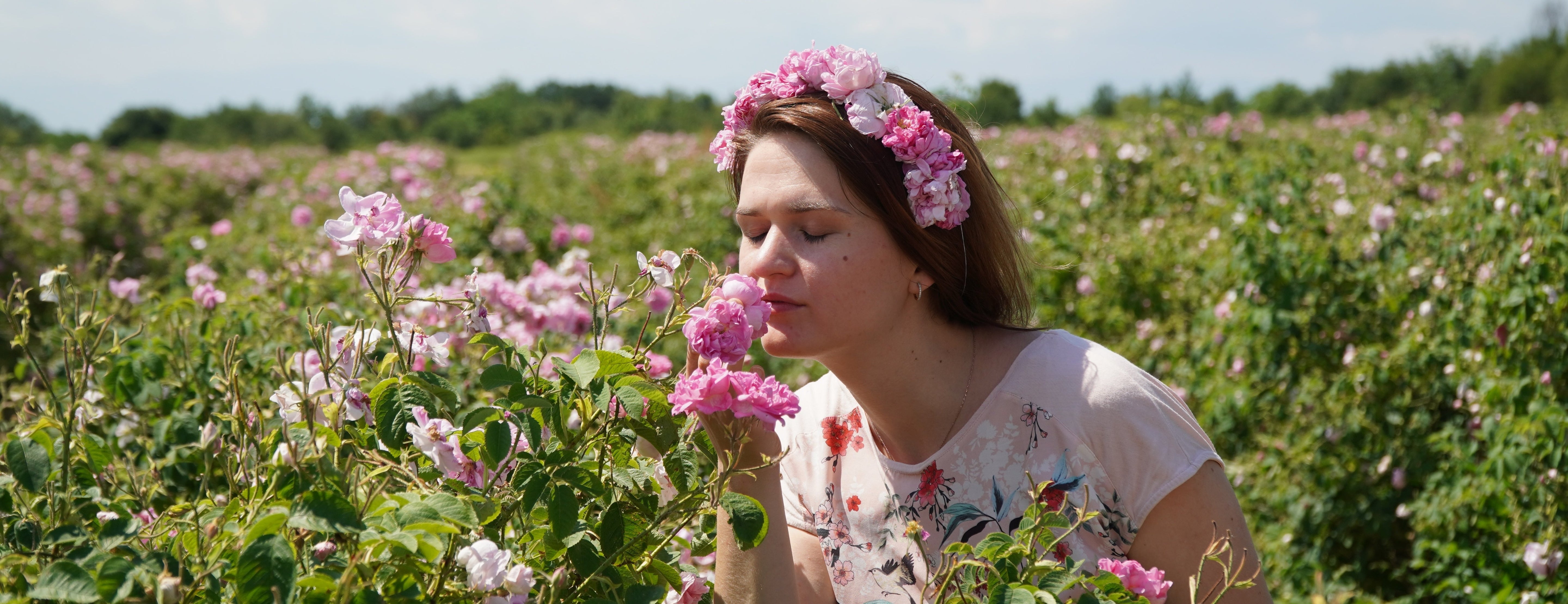 Tajemství Bio Růže damašské: Proč je klíčová pro vaši pleť