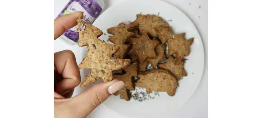 Recept na levandulové sušenky Purity Vision CZ